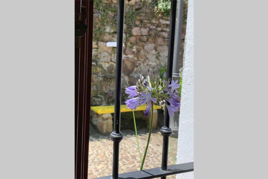 Pexe Na Mar Villa Lastres Eksteriør bilde
